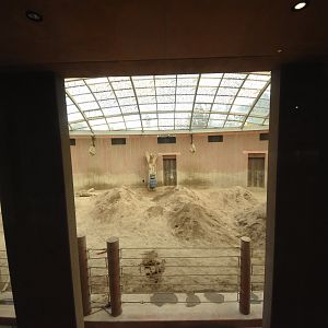 Asian elephant house - Cow indoors