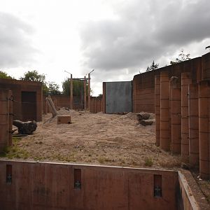Bull elephant outdoor enclosure