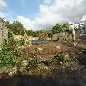 European brown bear enclosure