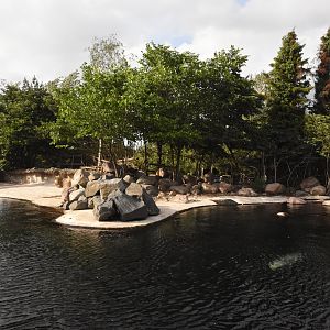 Seal & Reindeer enclosure