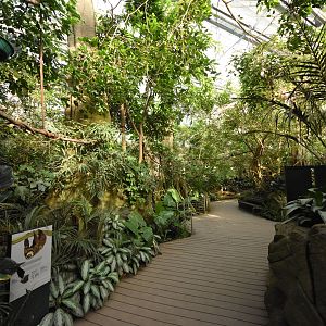 Tropical house - Freeflight