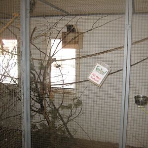 Farm Fun - Small mammals' house - Marmoset exhibit #2