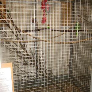 Farm Fun - Small mammals' house - Parrot aviary
