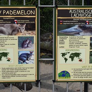 Signs Laughing kookaburra and dusky pademelon, 2019-04-06