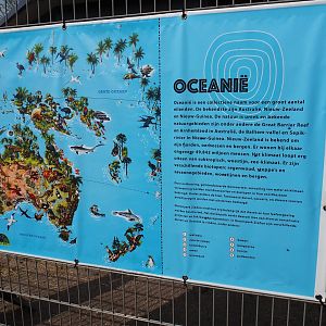 Oceania fence banner, 2019-04-06
