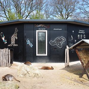 Macropod stable, 2019-04-06