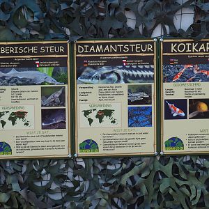 Pond fish signage, 2019-04-06