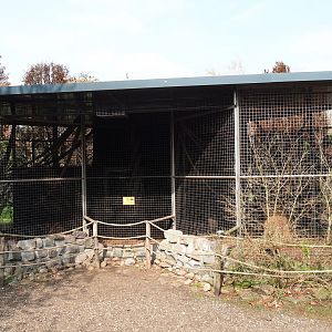 Tayra exhibit, 2019-04-06
