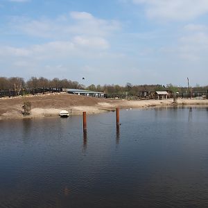 Mixed South American exhibit, 2019-04-06