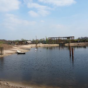 Mixed South American exhibit lake, 2019-04-06