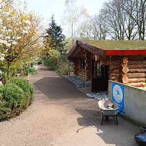 Park view near the education building, 2019-04-06