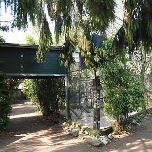 Quaker parrot and Sun conure aviary, 2019-04-06