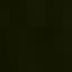 White collared lemur