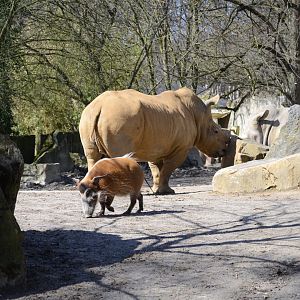 Zoo Osnabrück