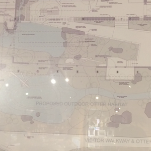Map of the new outdoor otter exhibit