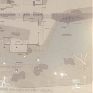 Map of The new outdoor otter exhibit