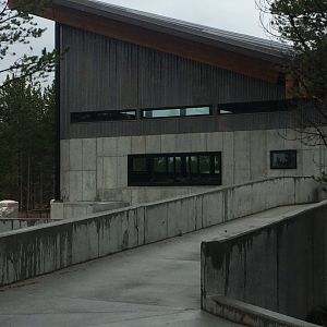 Riparian exhibit construction