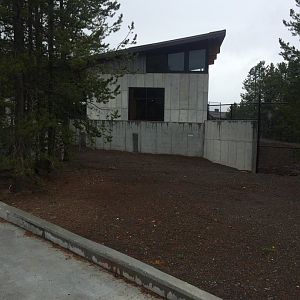 Riparian exhibit construction