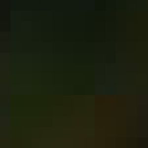 Hartmann's mountain zebra