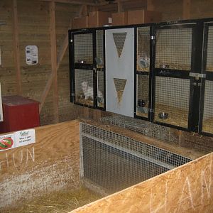 Farm Fun - Rabbit house