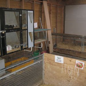 Farm Fun - Rabbit house