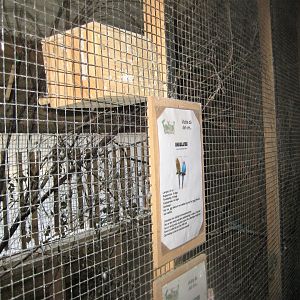 Farm Fun - Rabbit house - Budgie/cockatiel aviary