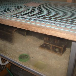 Farm Fun - Rabbit house - Golden hamster exhibit