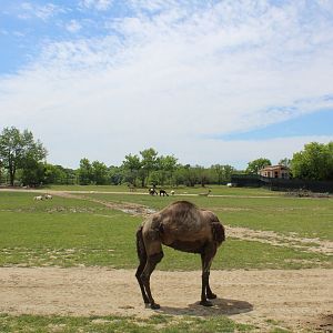 Main Drive-Through Yard