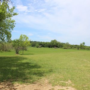Main Drive-Through Yard