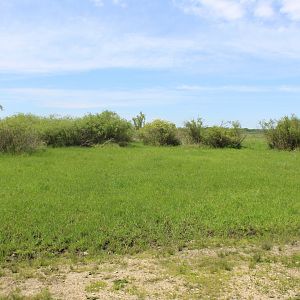 Main Drive-Through Yard