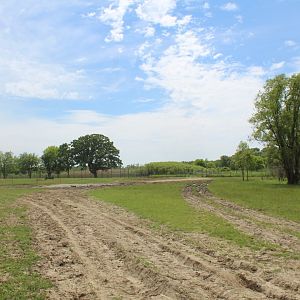 Main Drive-Through Yard