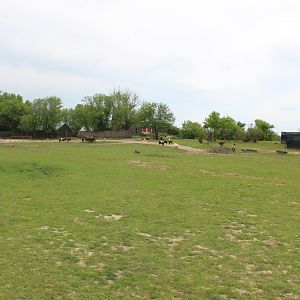 Main Drive-Through Yard