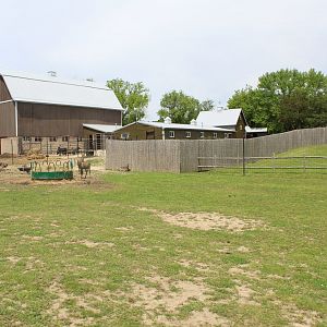 Indian Reserve (Domestic Yak, Nilgai, Blackbuck)