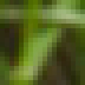 Stevie has us all in fits!