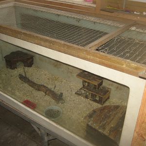 Farm Fun - Rabbit house - Dwarf hamster exhibit