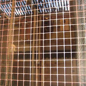 Farm Fun - Example of squirrel exhibit