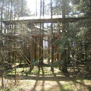 Farm Fun - Treetop walking