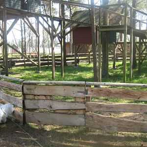 Farm Fun - Emu exhibit