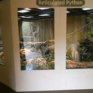 Jun. 2019 - Deserts - New! Extreme Snakes - Reticulated Python Exhibit