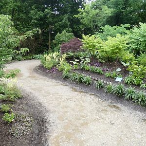 Jun. 2019 - New! MISTery Park