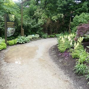 Jun. 2019 - New! MISTery Park