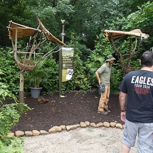 Jun. 2019 - New! MISTery Park - Linne's Two-toed Sloth Exhibits