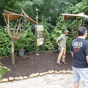 Jun. 2019 - New! MISTery Park - Linne's Two-toed Sloth Exhibits