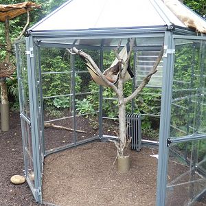 Jun. 2019 - New! MISTery Park - Linne's Two-toed Sloth Exhibit