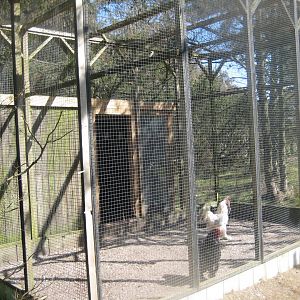 Farm Fun - Chicken aviary