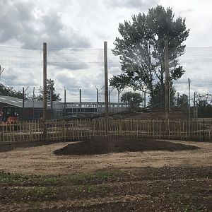 New tiger exhibit