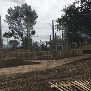 New tiger exhibit