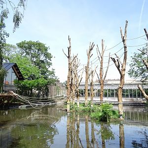 New spider monkey enclosure nearing completion