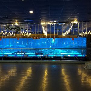 Chinese Sturgeon Hall