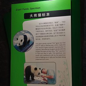 Signage (for taxidermy specimen)